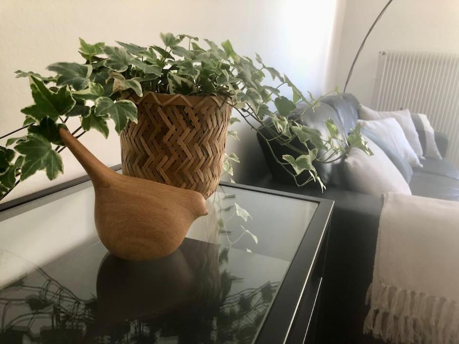 Appartement Coeur De Ville Cathedrale - Ascenseur - Colmar Zewnętrze zdjęcie